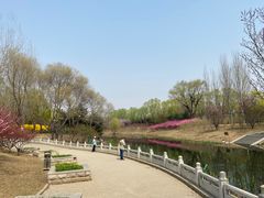 -大望京公园