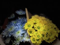 -豆豆花艺(新光天地店)