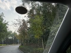 -孔雀湖生态旅游区