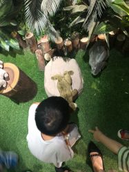 -酷嗒动物文化乐园(cutezoo西溪乐天城店)