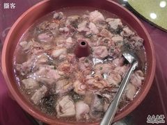特色南华鸡-新南华大酒店(长寿店)
