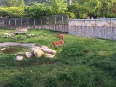 -西安秦岭野生动物园