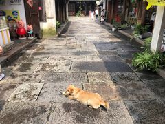 -乌镇东栅景区