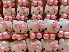 -安吉Hello Kitty乐园