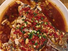 千岛湖野生有机鱼-丰乐餐厅·始于1999·本地老字号