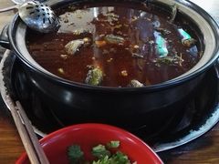 -金海椒罐罐鲢鱼(东方桂苑店)