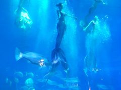 -烟台海昌鲸鲨海洋公园