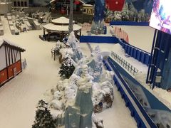 -长沙湘江冰雪世界