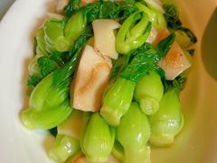 -芙蓉堂(武汉天地店)