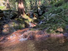 -东天目山风景区