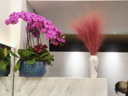 门面-Garden花園造型