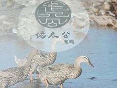 -佬太公海鸭·海鲜大排档(上海总店)