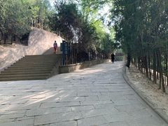 -延安杨家岭革命旧址