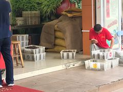 -阿男野栗王(金门路店)