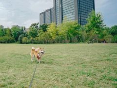 -杭州城北体育公园