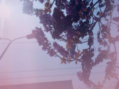 -襄阳城墙