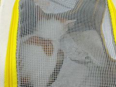 -菲丽丝宠物医院·24小时·猫科中心·免疫点(淮海分院)