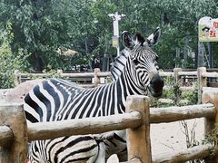 -大连森林动物园