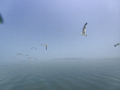 -长岛南北长山旅游景区