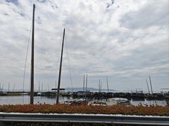 -太湖面馆十八浇(渔港路店)