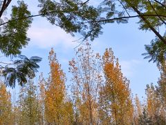 -白鹭湾湿地公园