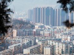 -望溪公园