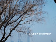 景点-金鸡湖景区