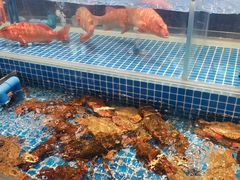 -锦色·烧鹅·海鲜(臻享店)