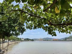 -澳门喜来登大酒店