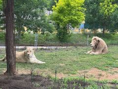 -秦皇岛野生动物园