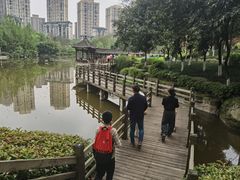 -龙头寺公园
