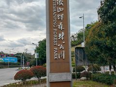 -铁山坪森林公园