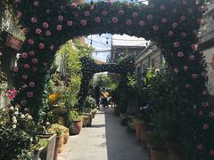 -The Grounds of Alexandria