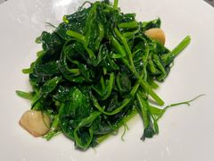 -许家菜(DT51店)