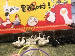 -哈尔滨热雪奇迹