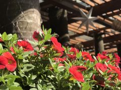 -深圳海景嘉途酒店(东翼楼)