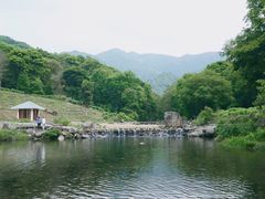 -广州市石门国家森林公园