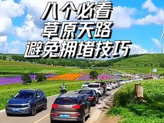 -草原天路(张北县)