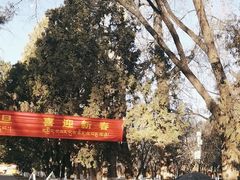 -罗布林卡