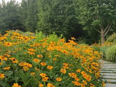 -国家植物园南园