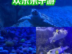 -太平洋海底世界