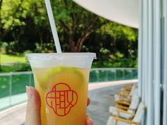 -云溪植物园