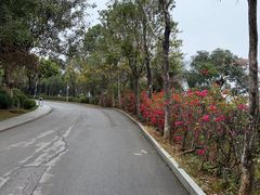 -南宁市凤岭儿童公园