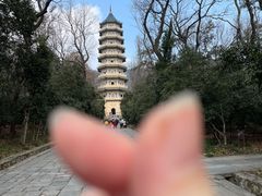 -灵谷景区
