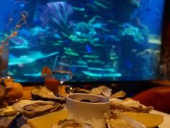 -迪拜帆船酒店海底餐厅