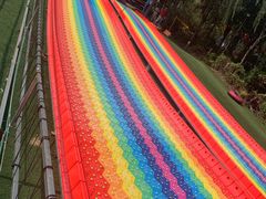 -淄博花灯齐彩城