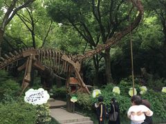 -杭州少年儿童公园