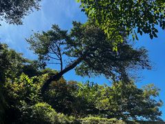 -普陀山慧济禅寺
