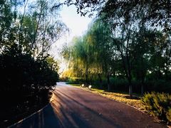 -永定河休闲森林公园