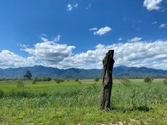 -野鸭湖国家湿地公园